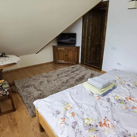 Conacul Caterinei Guest house