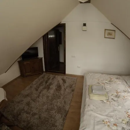Conacul Caterinei Guest house