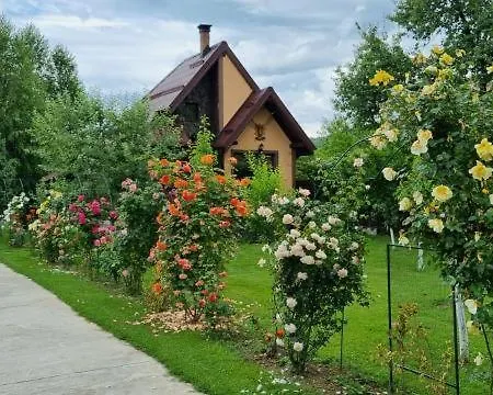 Conacul Caterinei Guest house Polovragi