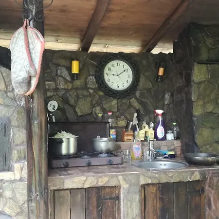 Conacul Caterinei Guest house